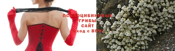наркотики Михайловка
