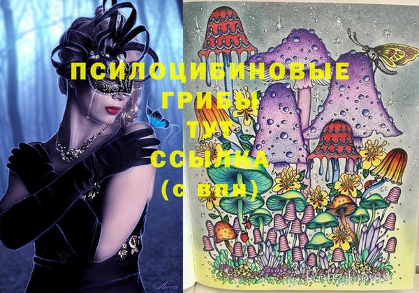 наркотики Михайловка