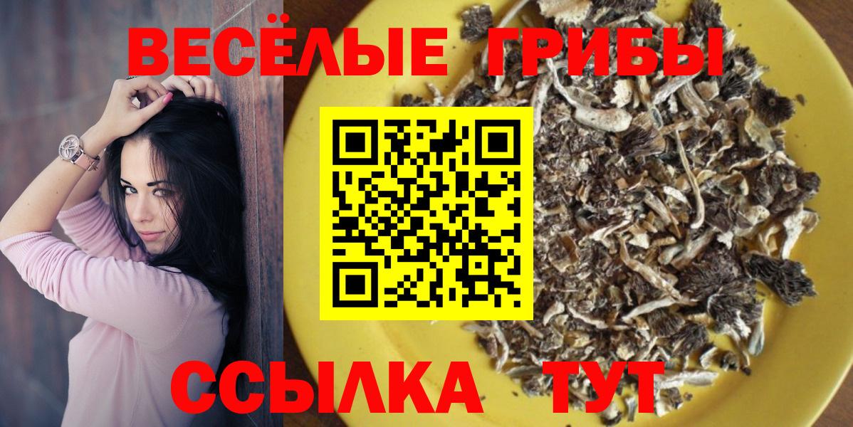 Бийск  Галлюциногенные грибы ЛСД  Вход с VPN 
