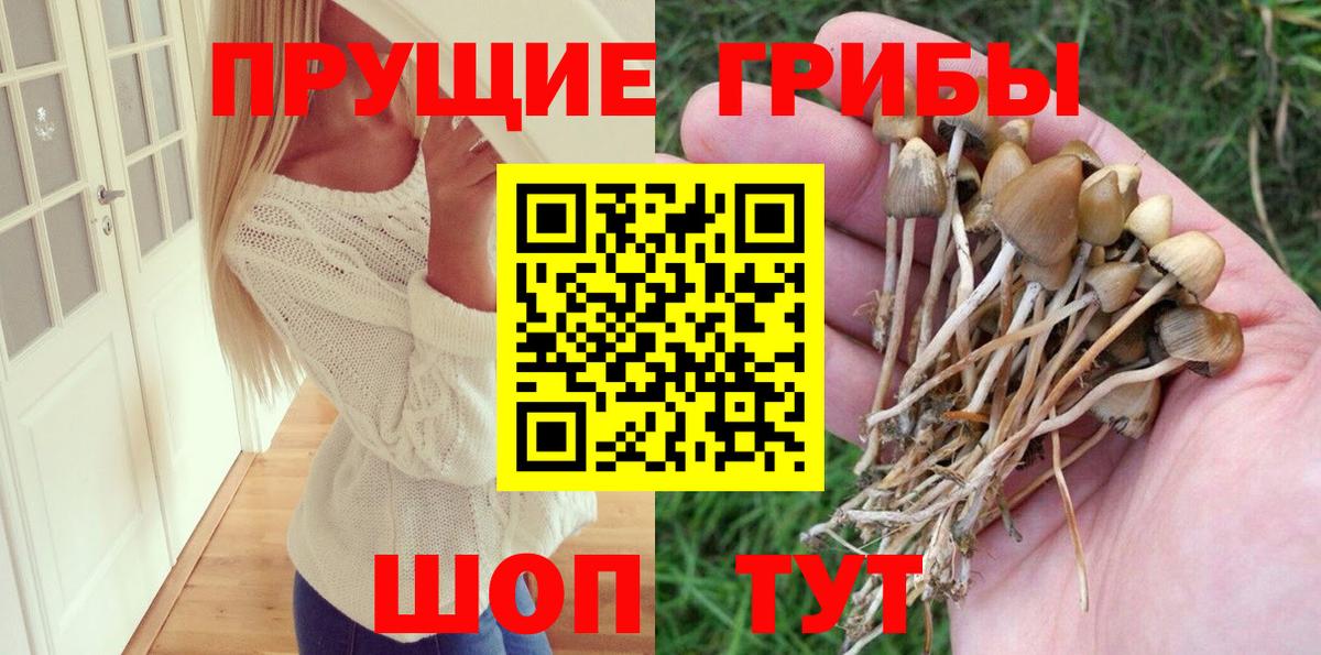 Галлюциногенные грибы Magic Shrooms Бийск