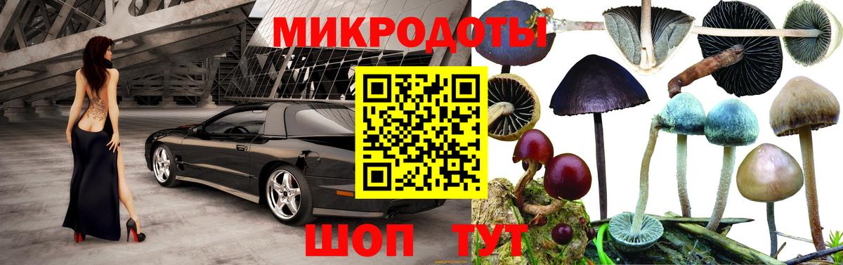 Галлюциногенные грибы прущие грибы Бийск
