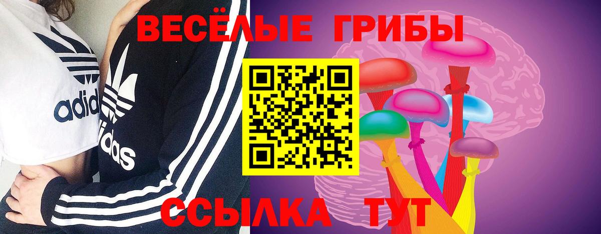 Галлюциногенные грибы MAGIC MUSHROOMS  Бийск  Галлюциногенные грибы MAGIC MUSHROOMS 